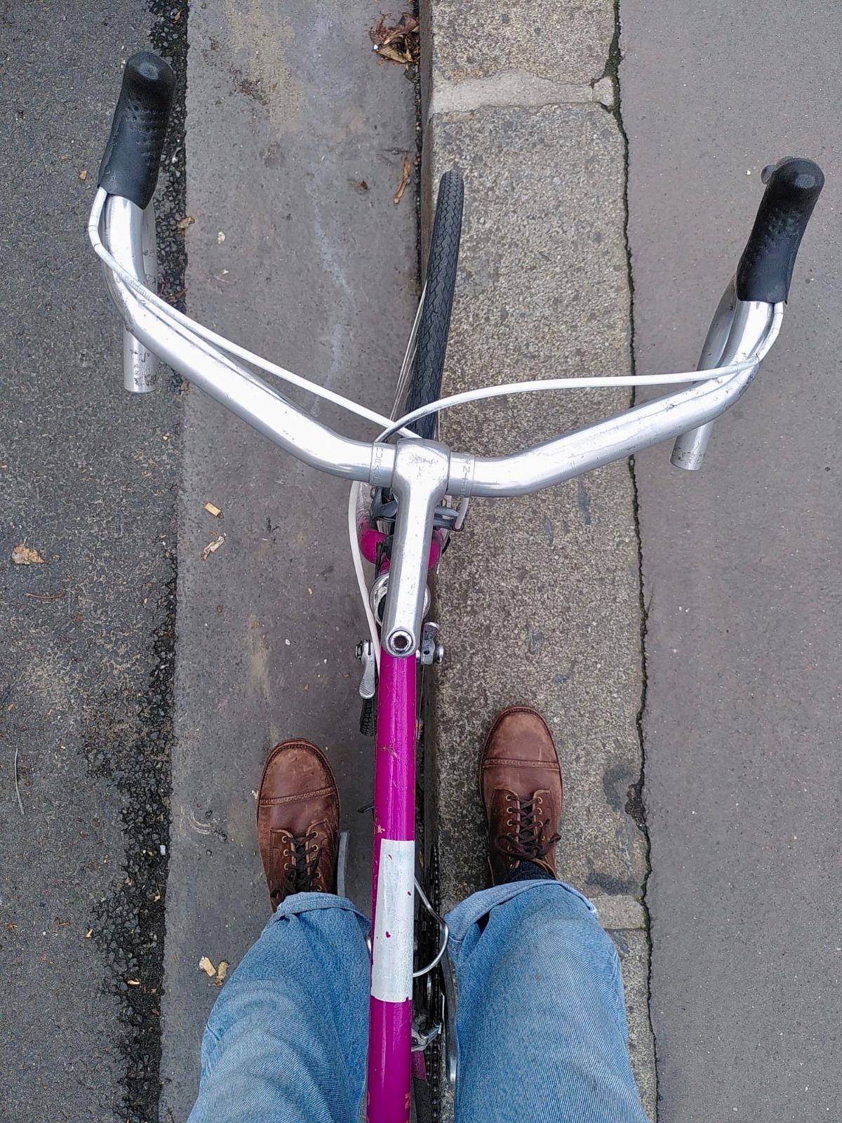 Photo by kaldisgoat on October 14, 2025 of the Sagara Legatant in Amber Arborwax.