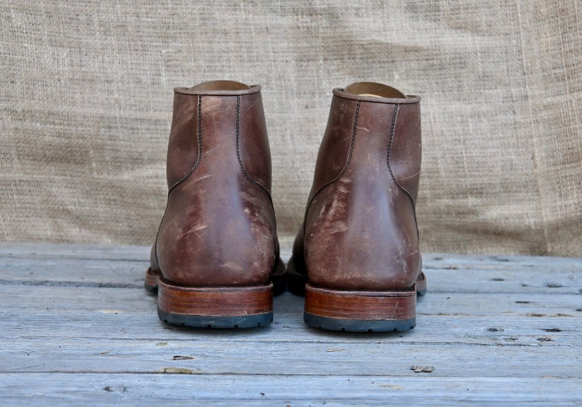 Photo by kaldisgoat on November 3, 2025 of the Sagara Legatant in Amber Arborwax.