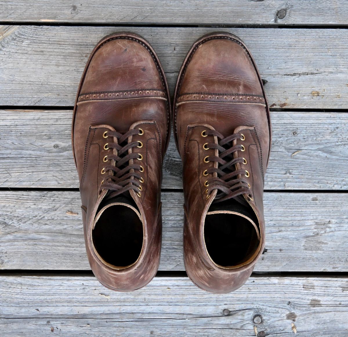 Photo by kaldisgoat on November 3, 2025 of the Sagara Legatant in Amber Arborwax.