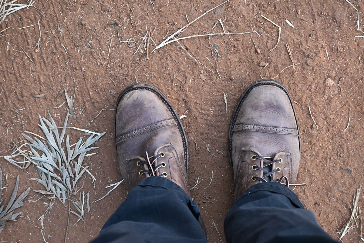 Photo by kaldisgoat on November 24, 2025 of the Sagara Legatant in Amber Arborwax.