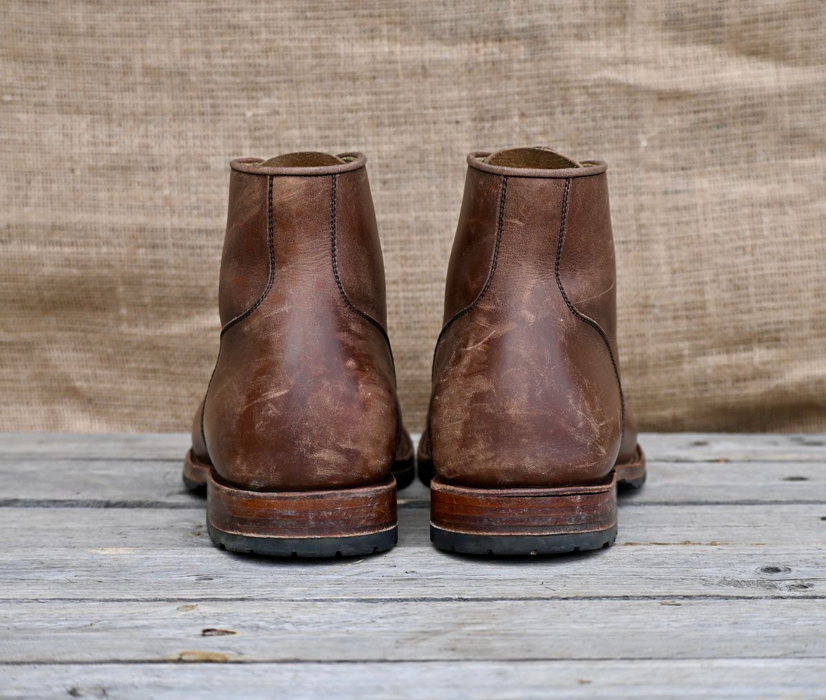 Photo by kaldisgoat on December 1, 2025 of the Sagara Legatant in Amber Arborwax.