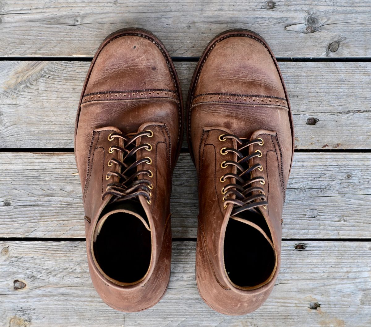 Photo by kaldisgoat on December 29, 2025 of the Sagara Legatant in Amber Arborwax.