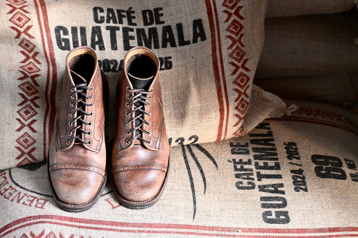 Photo by kaldisgoat on January 6, 2026 of the Sagara Legatant in Amber Arborwax.