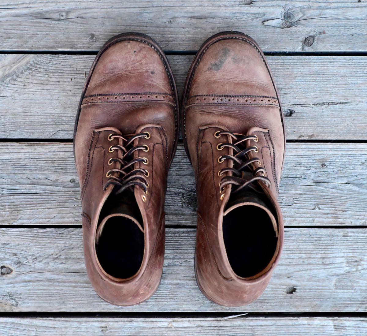 Photo by kaldisgoat on February 3, 2026 of the Sagara Legatant in Amber Arborwax.