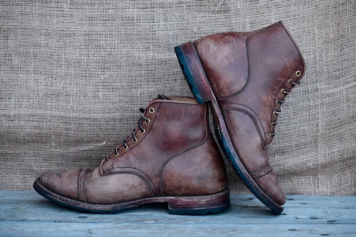 Photo by kaldisgoat on February 3, 2026 of the Sagara Legatant in Amber Arborwax.