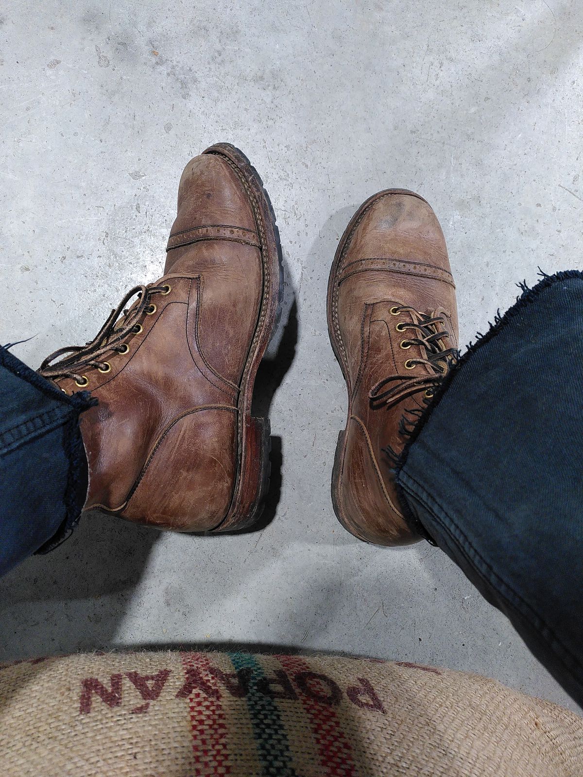 Photo by kaldisgoat on February 15, 2026 of the Sagara Legatant in Amber Arborwax.