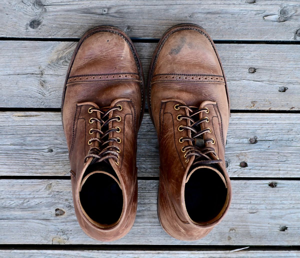 Photo by kaldisgoat on March 1, 2026 of the Sagara Legatant in Amber Arborwax.