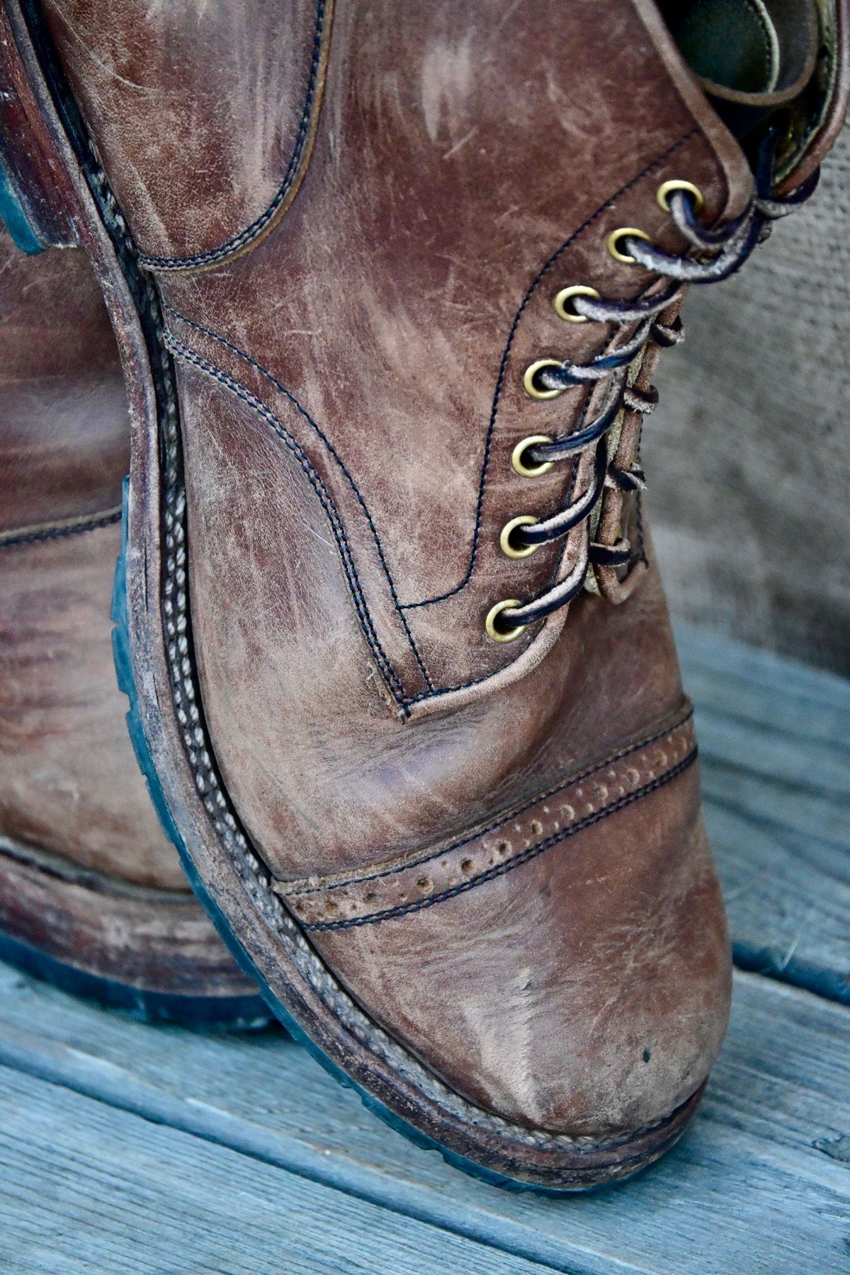 Photo by kaldisgoat on March 1, 2026 of the Sagara Legatant in Amber Arborwax.