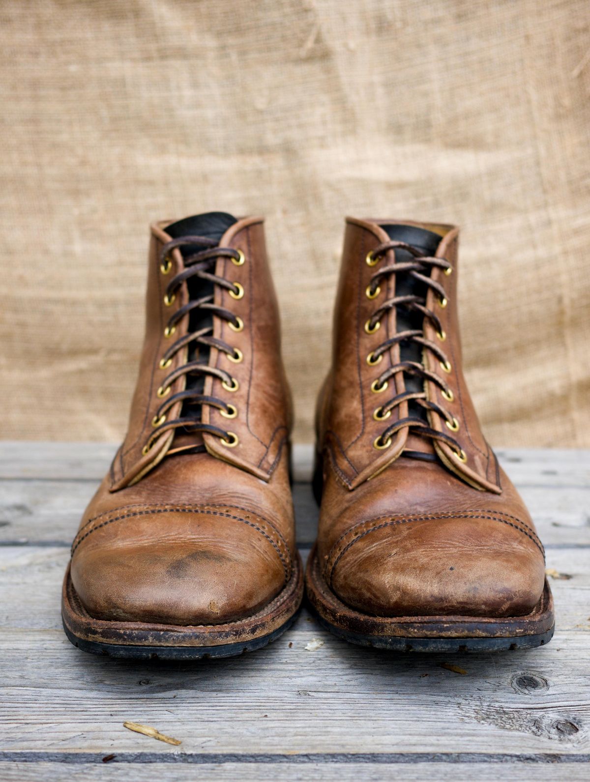 Photo by kaldisgoat on April 4, 2026 of the Sagara Legatant in Amber Arborwax.