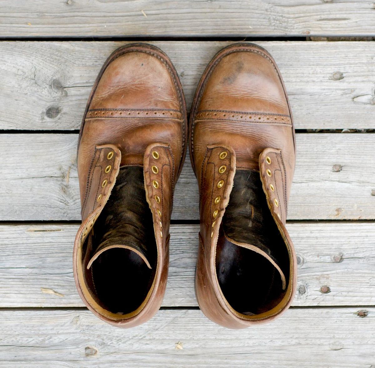 Photo by kaldisgoat on April 4, 2026 of the Sagara Legatant in Amber Arborwax.