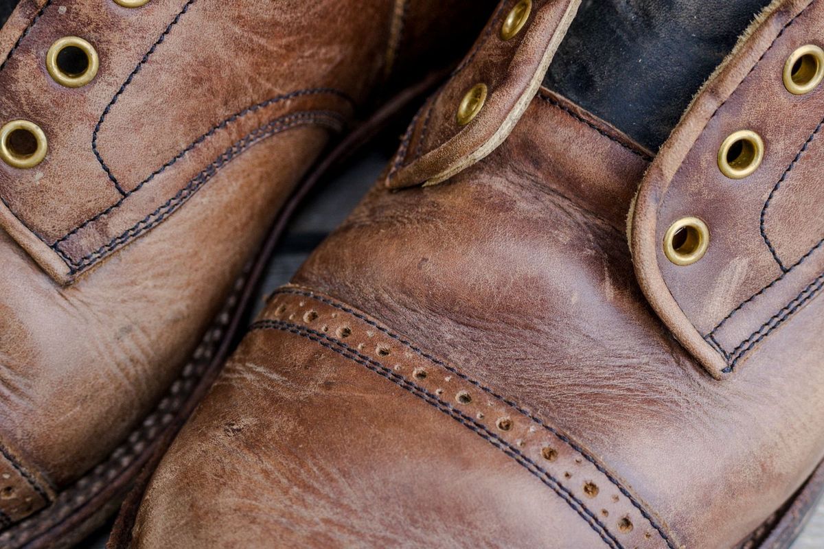 Photo by kaldisgoat on April 4, 2026 of the Sagara Legatant in Amber Arborwax.