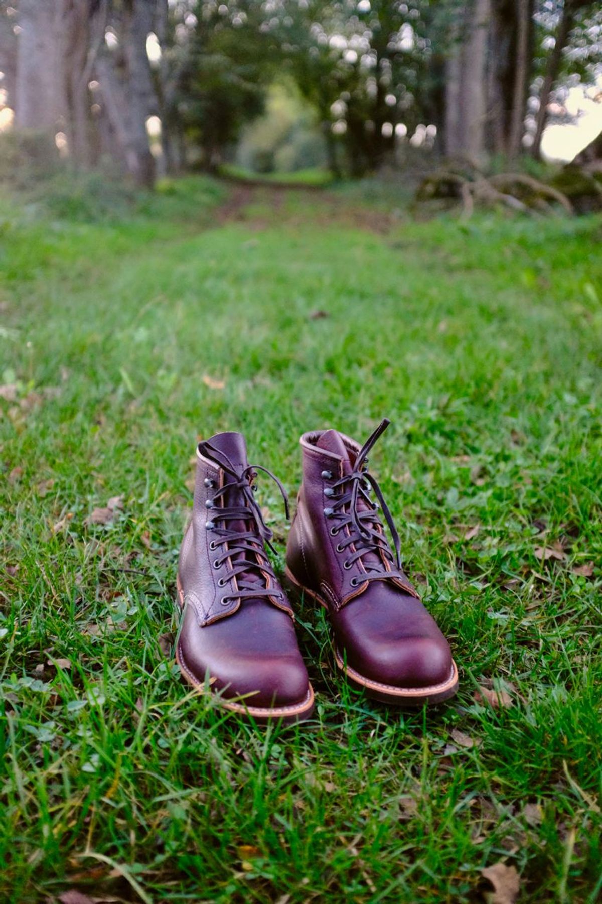 Photo by kaldisgoat on November 1, 2024 of the Red Wing Blacksmith in S.B. Foot Briar Oil Slick.
