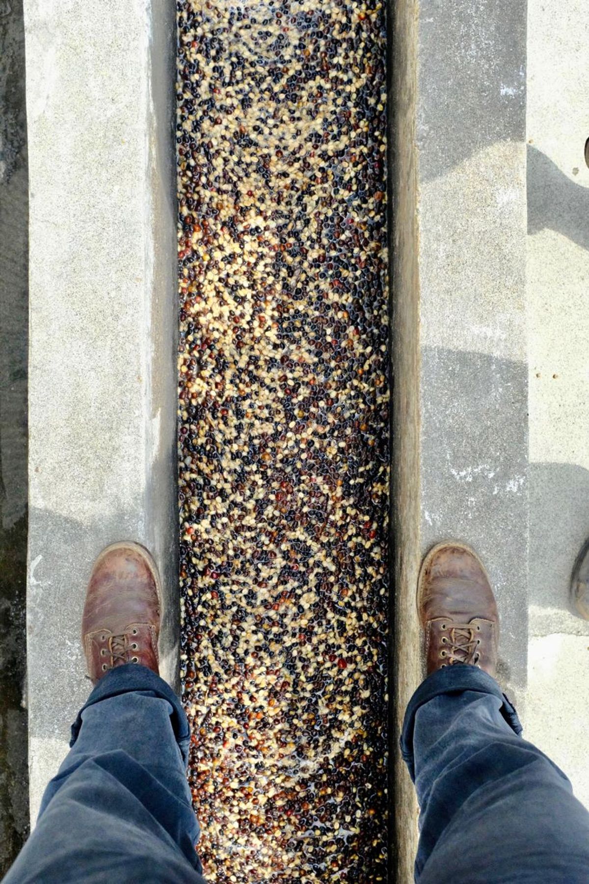 Photo by kaldisgoat on March 4, 2025 of the Red Wing Blacksmith in S.B. Foot Briar Oil Slick.