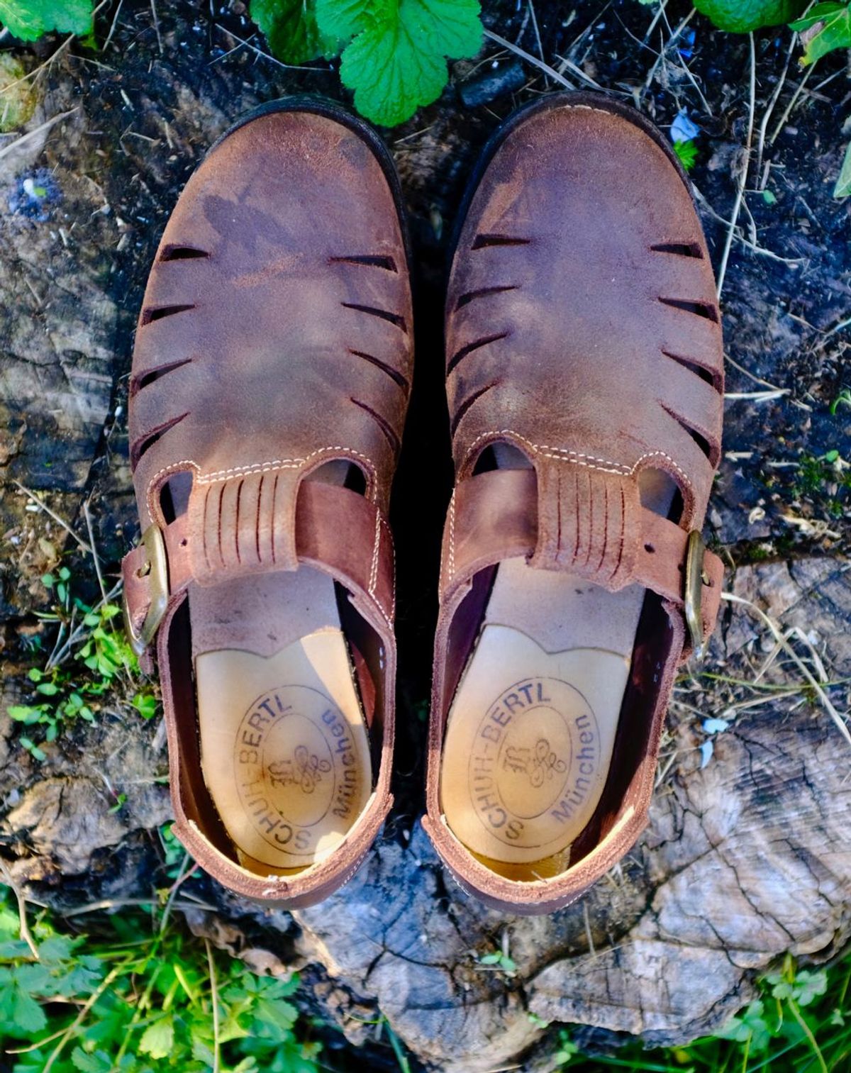 Photo by kaldisgoat on October 9, 2024 of the Schuh Bertl Haferlsandale in Brown Russia Leather.