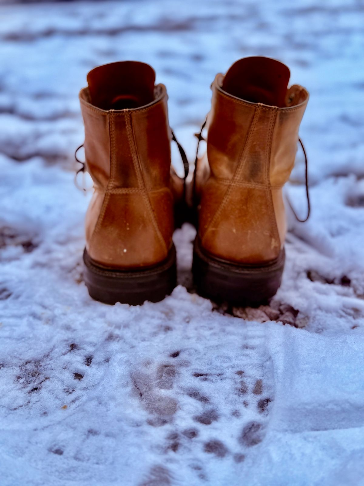Photo by 10000yearsago on December 2, 2025 of the Grant Stone Brass Boot in Horween Honey Glazed Shell Cordovan.