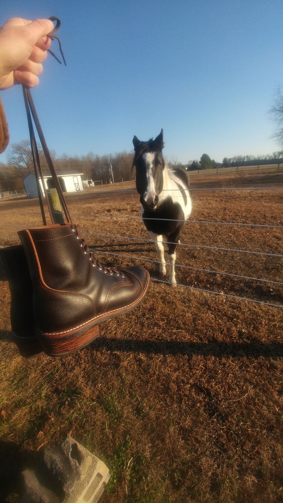 Photo by BoSeven on January 4, 2026 of the Thursday Logger in Horween Waxed Cacao.