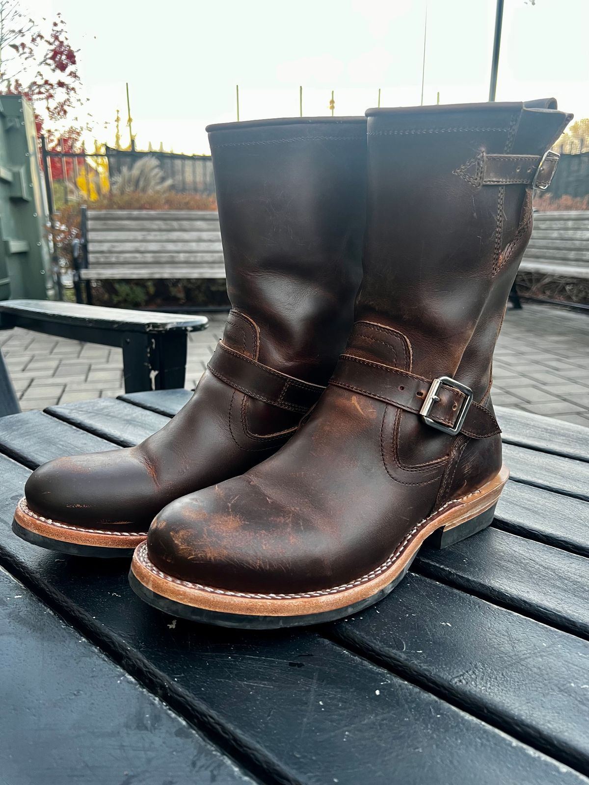 Photo by DrJohnCrunch on November 23, 2024 of the Crush on Retro Engineer in Brown Cowhide.