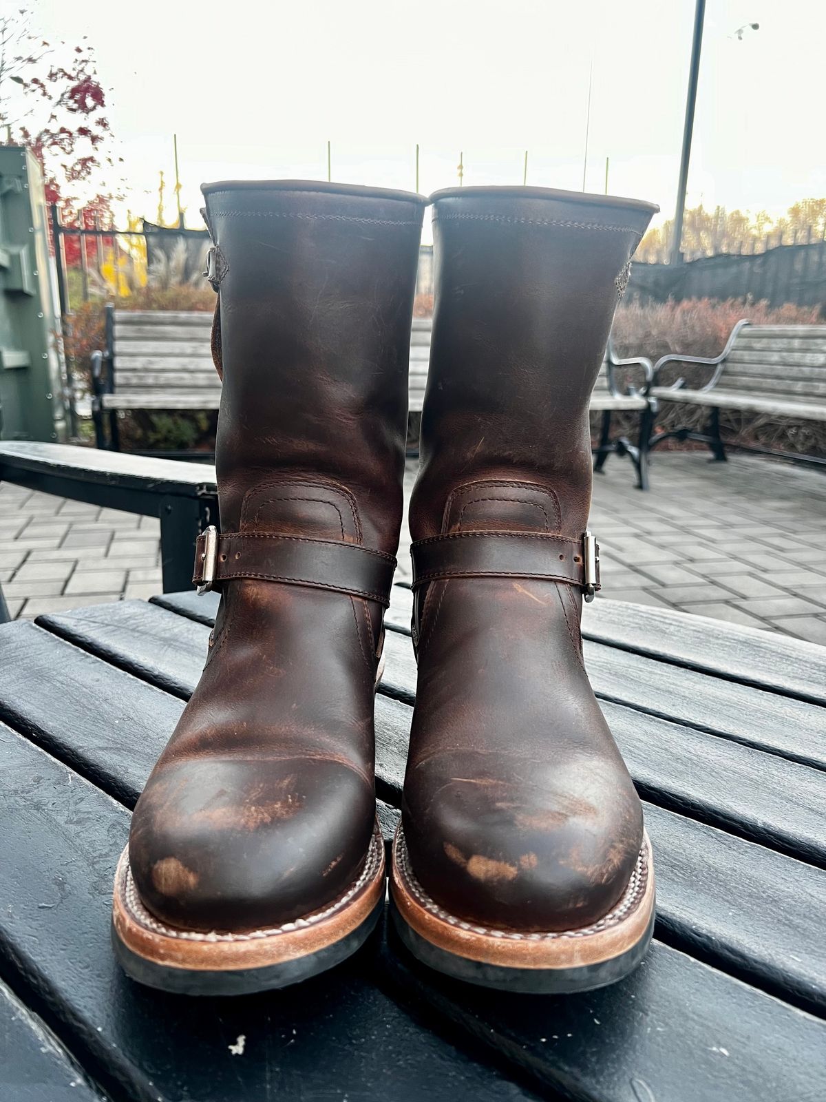 Photo by DrJohnCrunch on November 23, 2024 of the Crush on Retro Engineer in Brown Cowhide.