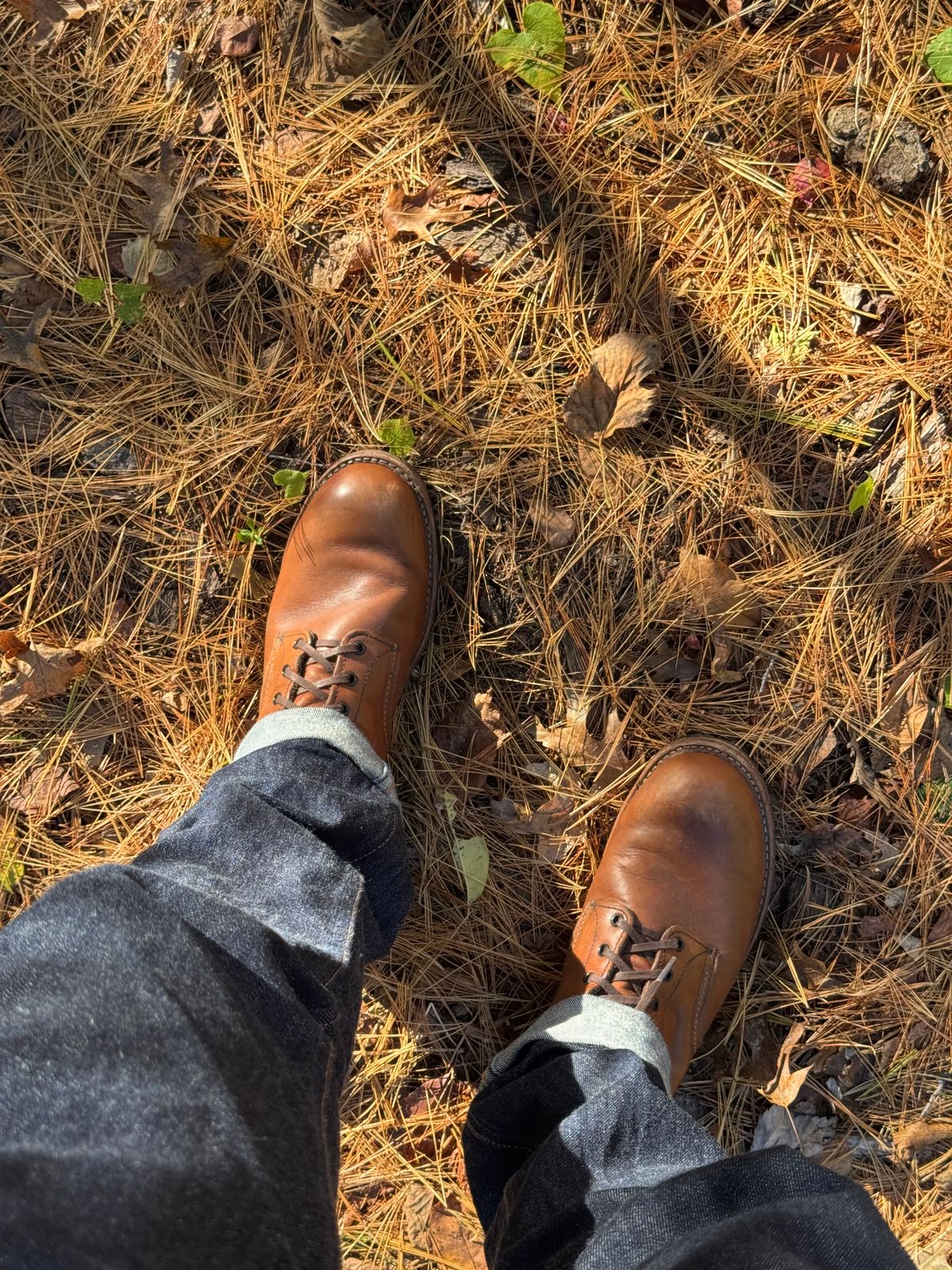 Photo by fancyfootwork15 on October 11, 2025 of the Red Wing Beckman in S.B. Foot Cigar Featherstone.