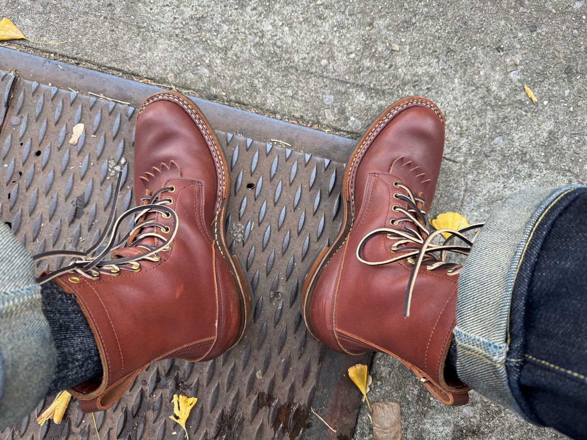 Photo by AlexB on December 8, 2024 of the White's Farmer/Rancher in Seidel Red Dog Oil Tan.