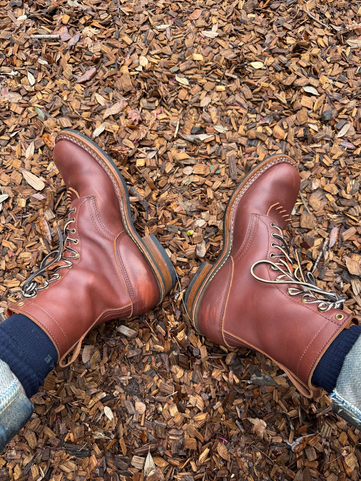 Photo by AlexB on January 19, 2025 of the White's Farmer/Rancher in Seidel Red Dog Oil Tan.