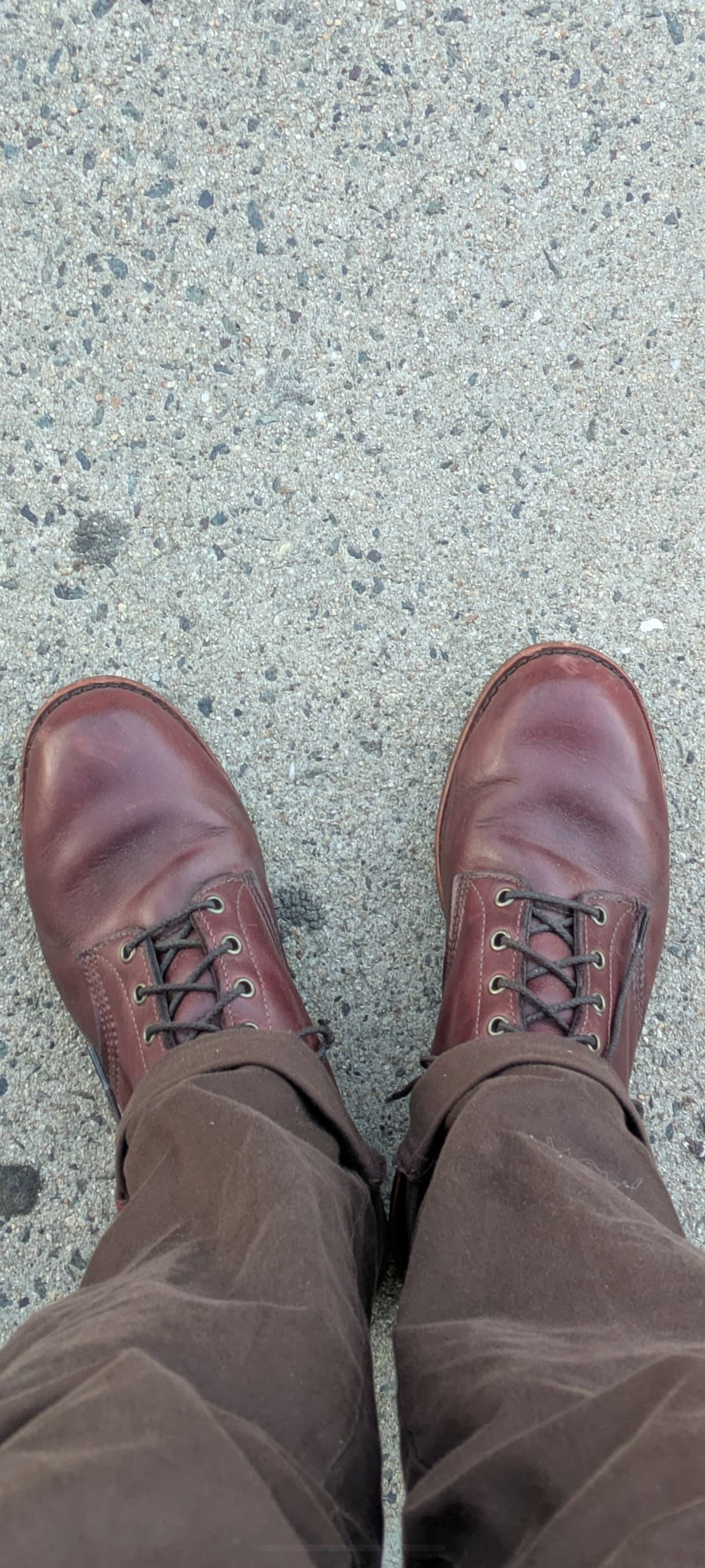 Photo by jonok228 on June 3, 2026 of the Chippewa L.L. Bean Katahdin in Unknown Leather.