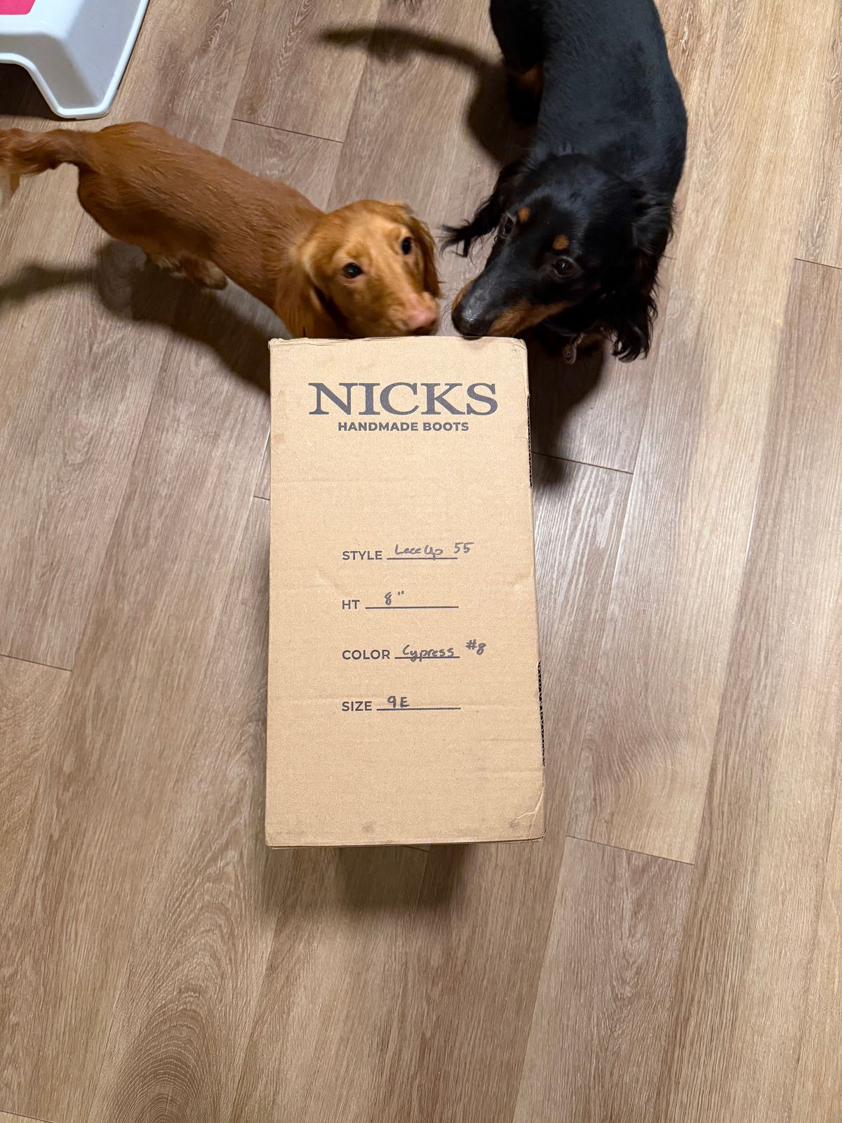 Photo by chris8leal on February 28, 2026 of the Nicks MTO in Cypress #8.