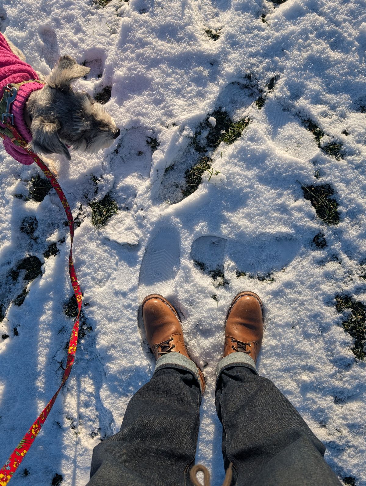 Photo by ZelieDad on December 9, 2025 of the Oak Street Bootmakers Storm Boot in Horween Natural Chromexcel.