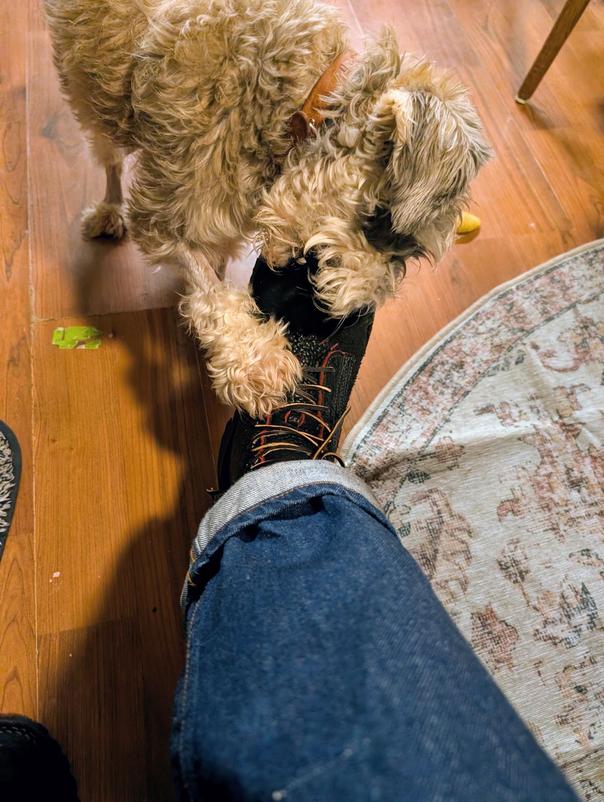 Photo by ZelieDad on November 2, 2025 of the JK Boots Bear Slayers in Bison Bloodcore.