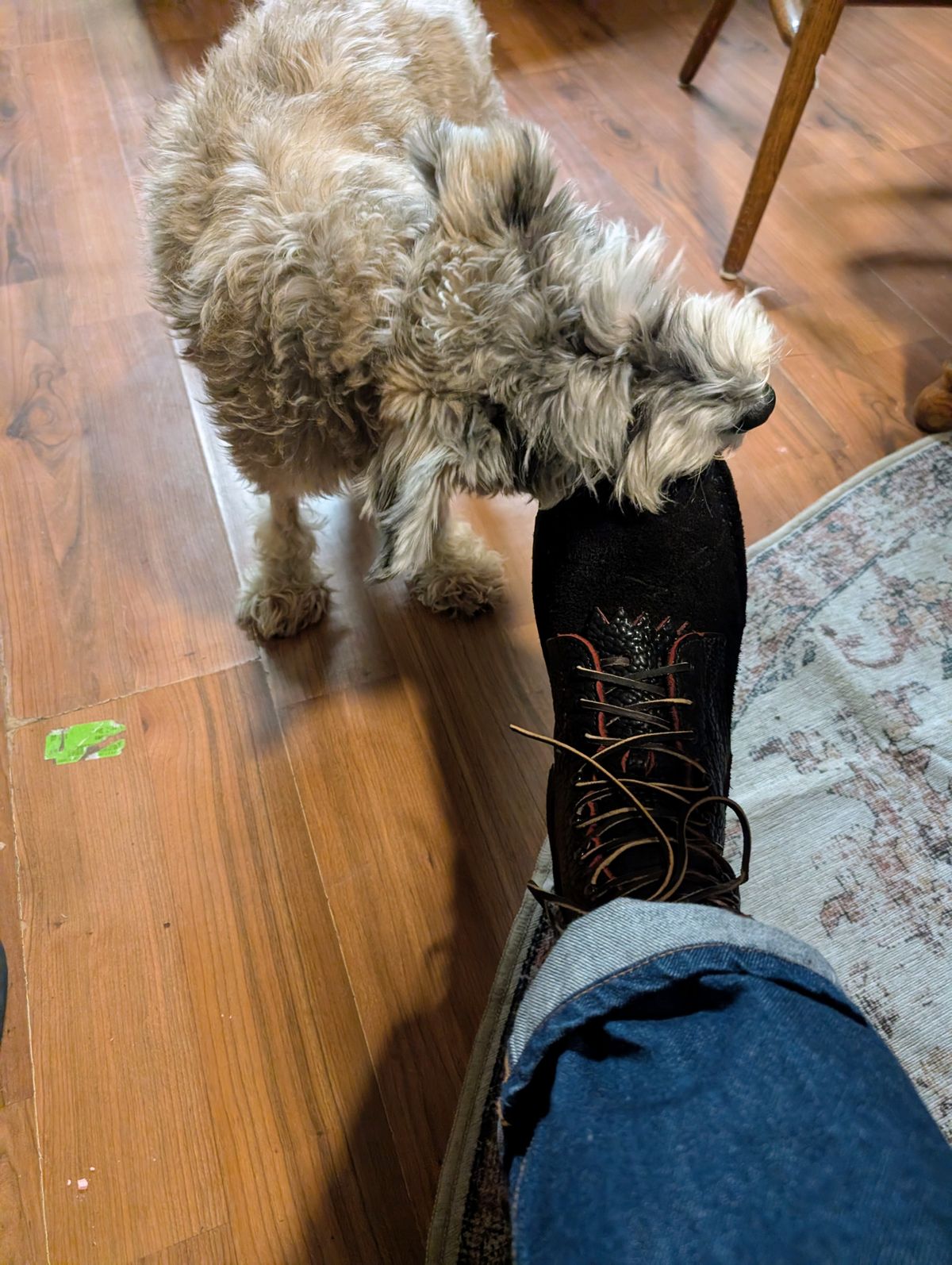 Photo by ZelieDad on November 2, 2025 of the JK Boots Bear Slayers in Bison Bloodcore.