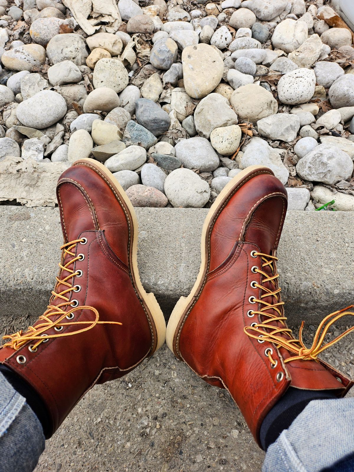 Photo by MattSchrein on March 28, 2025 of the Red Wing 812 in S.B. Foot Oro-Iginal.