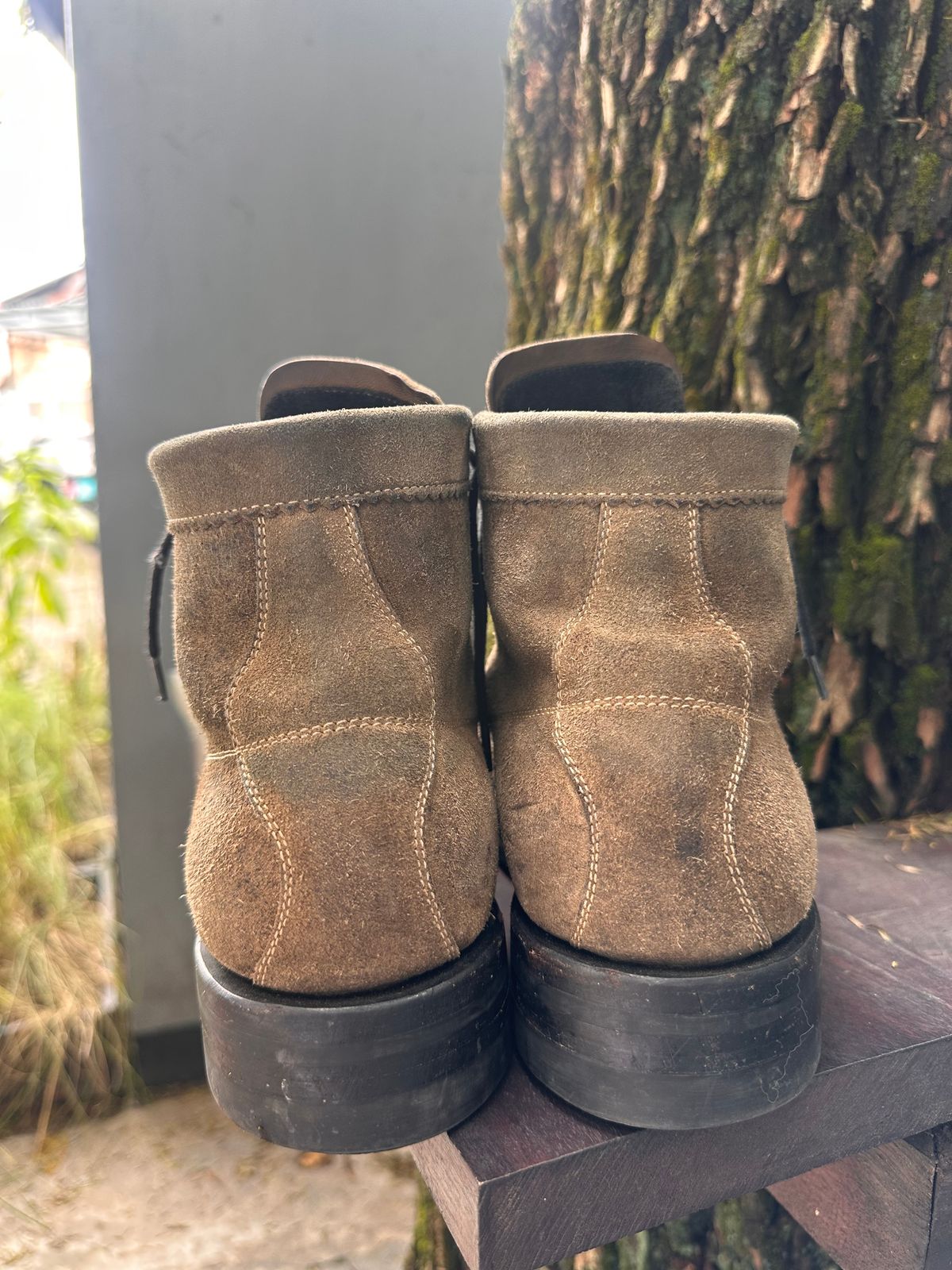 Photo by supergad on November 4, 2025 of the Sagara Cordmaster in Maryam Rovescio Sego Oliva.