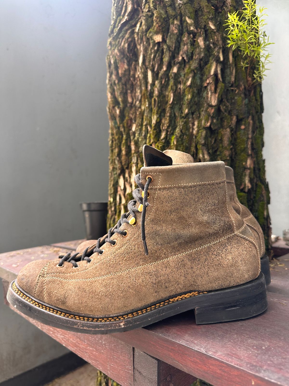 Photo by supergad on November 4, 2025 of the Sagara Cordmaster in Maryam Rovescio Sego Oliva.