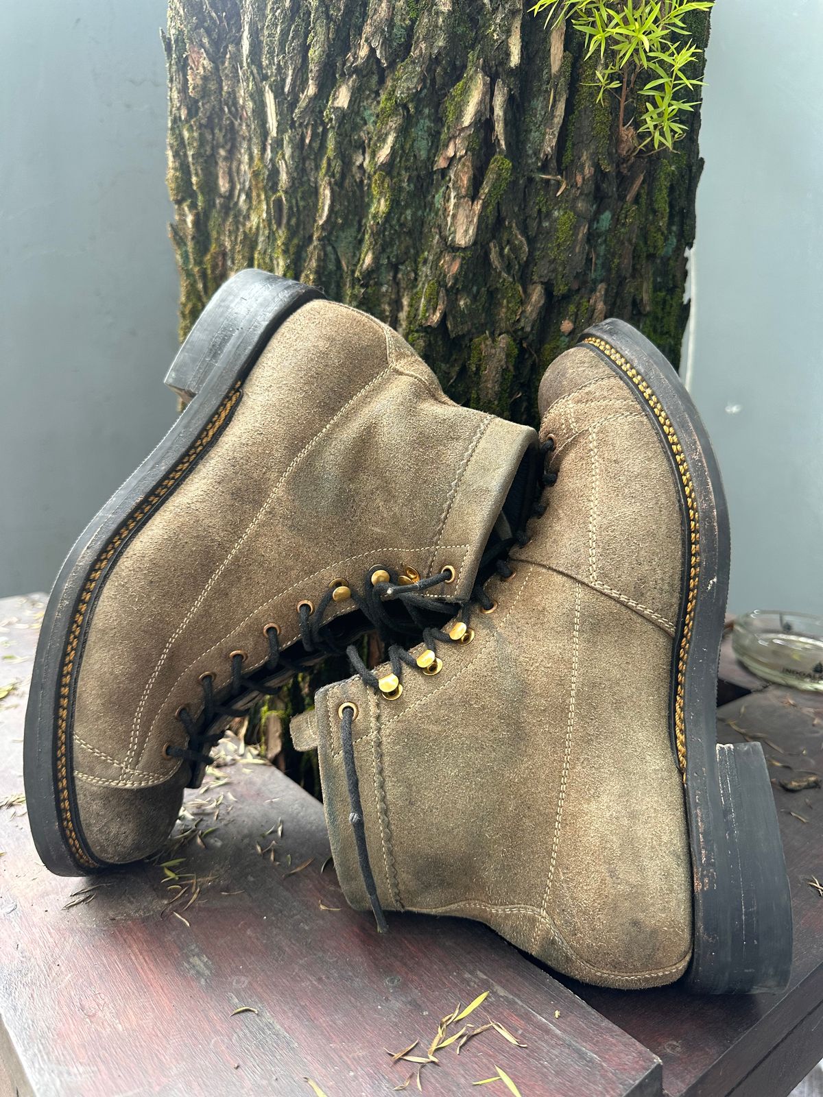 Photo by supergad on November 4, 2025 of the Sagara Cordmaster in Maryam Rovescio Sego Oliva.