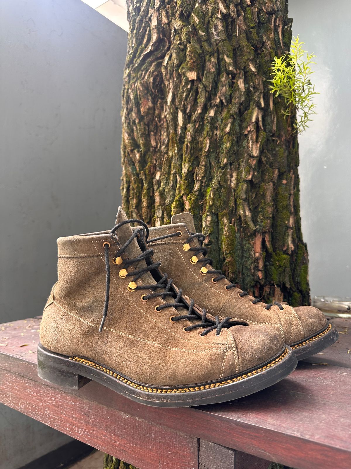 Photo by supergad on November 4, 2025 of the Sagara Cordmaster in Maryam Rovescio Sego Oliva.