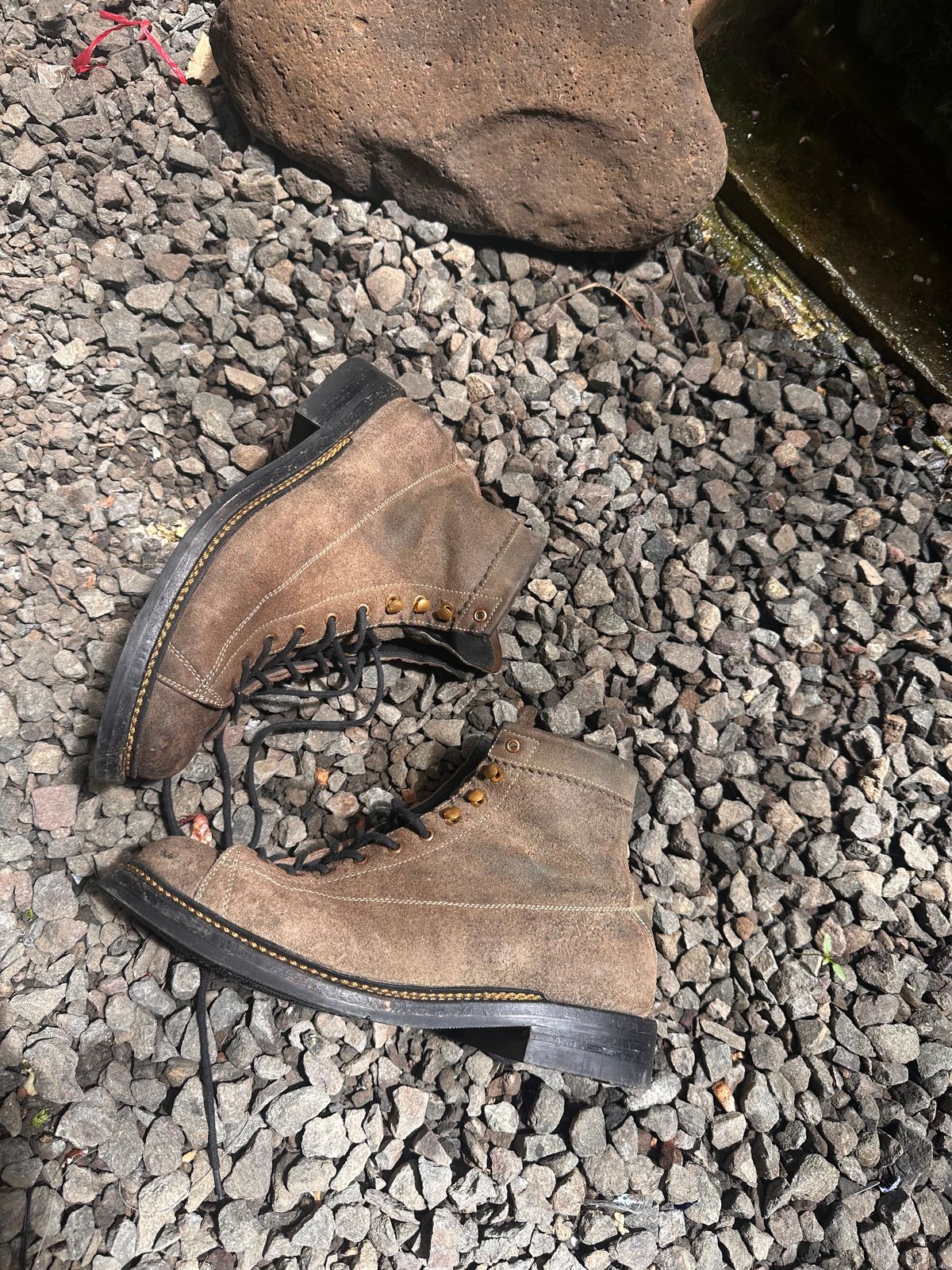 Photo by supergad on December 5, 2025 of the Sagara Cordmaster in Maryam Rovescio Sego Oliva.