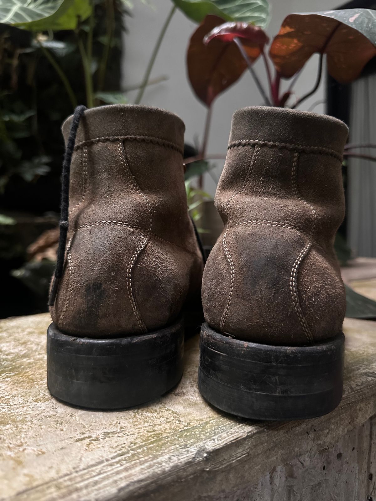 Photo by supergad on January 4, 2026 of the Sagara Cordmaster in Maryam Rovescio Sego Oliva.