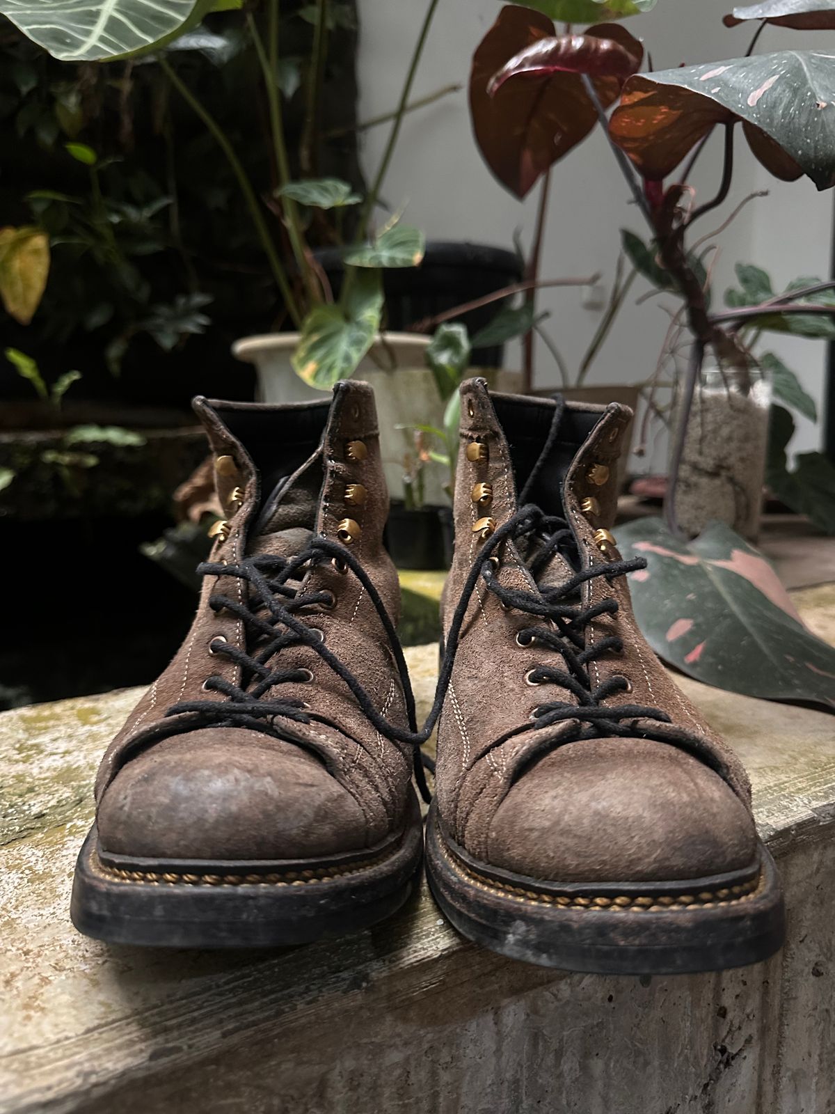 Photo by supergad on January 4, 2026 of the Sagara Cordmaster in Maryam Rovescio Sego Oliva.