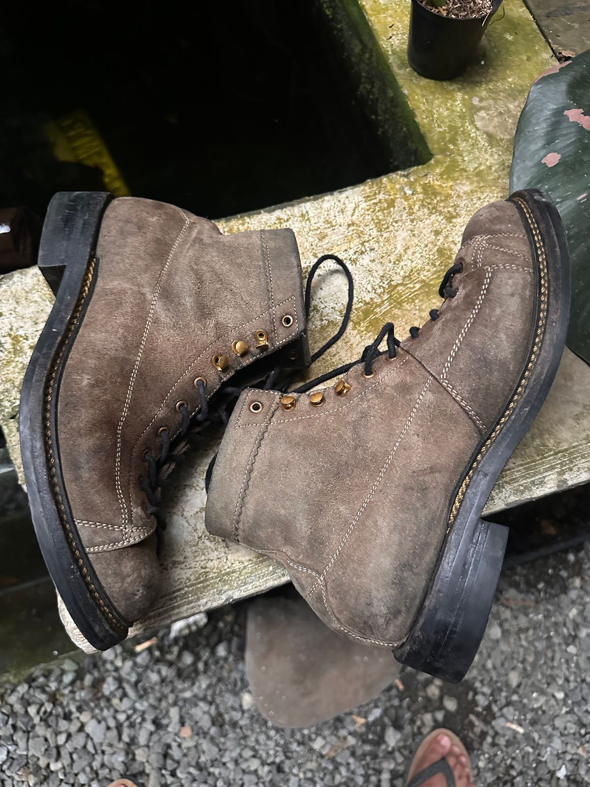 Photo by supergad on January 4, 2026 of the Sagara Cordmaster in Maryam Rovescio Sego Oliva.