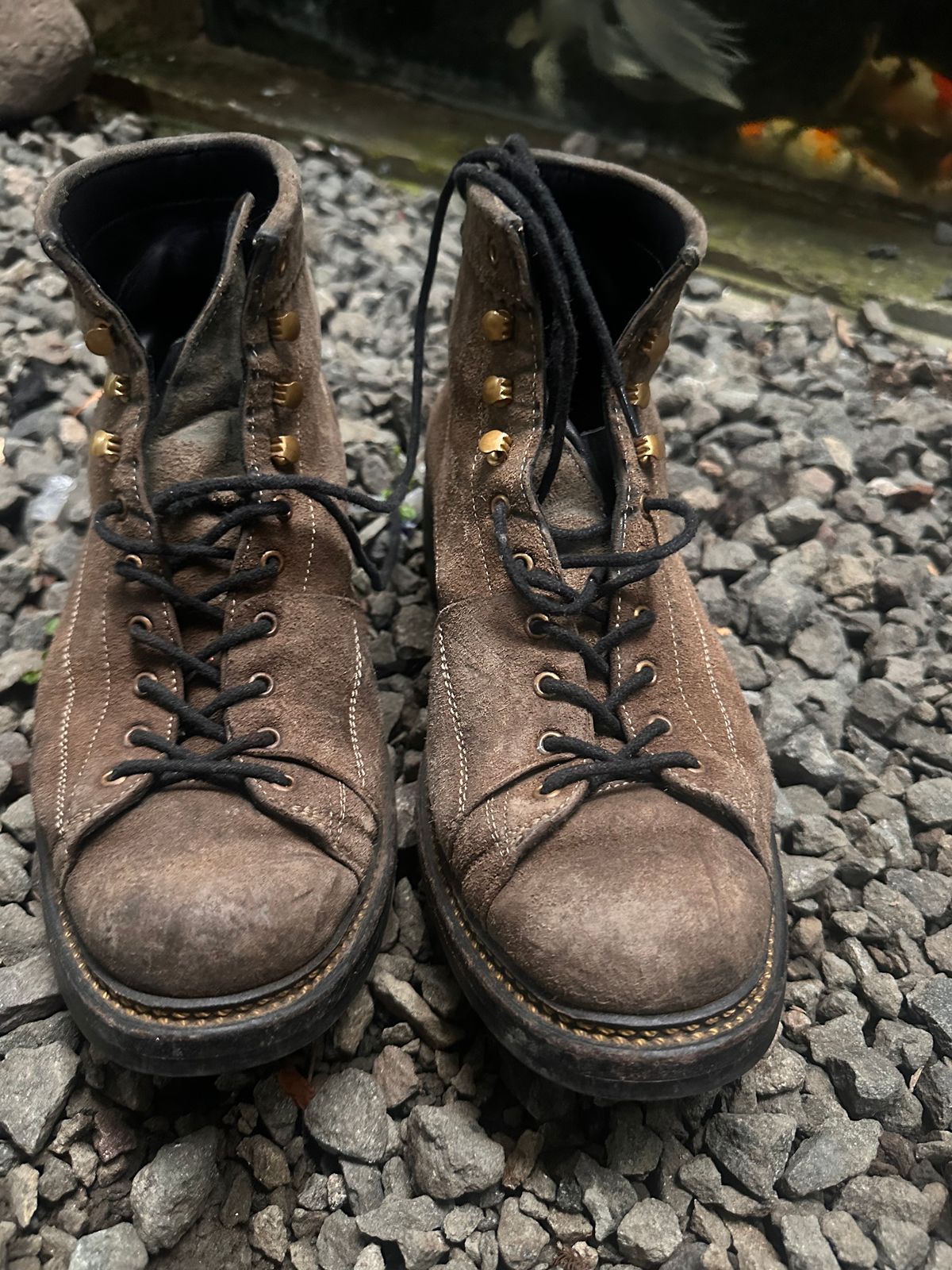 Photo by supergad on January 4, 2026 of the Sagara Cordmaster in Maryam Rovescio Sego Oliva.