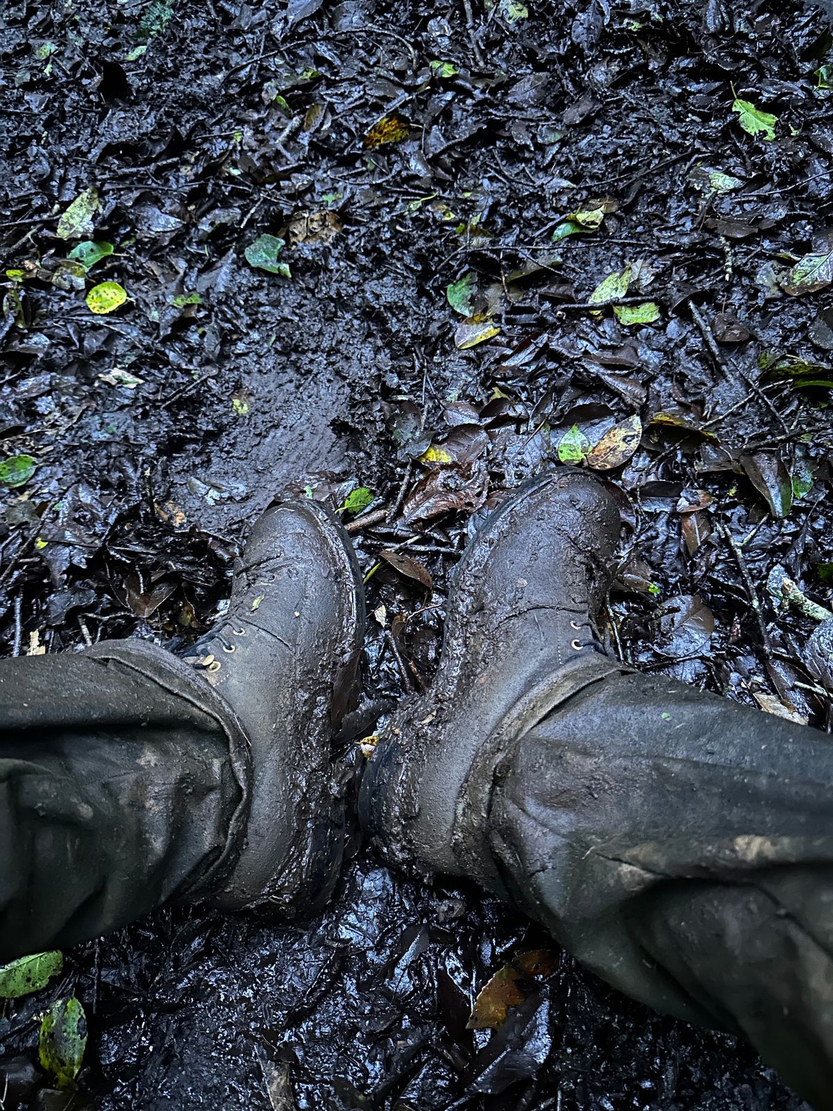 Photo by supergad on January 22, 2026 of the Sagara Cordmaster in Maryam Rovescio Sego Oliva.