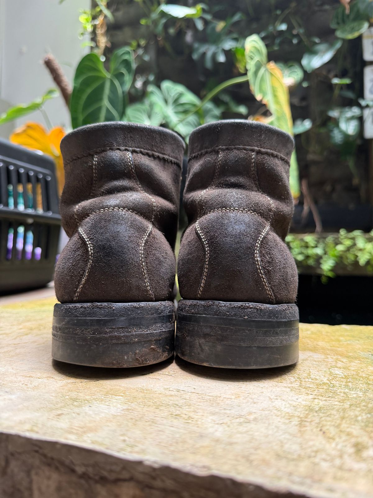 Photo by supergad on March 5, 2026 of the Sagara Cordmaster in Maryam Rovescio Sego Oliva.