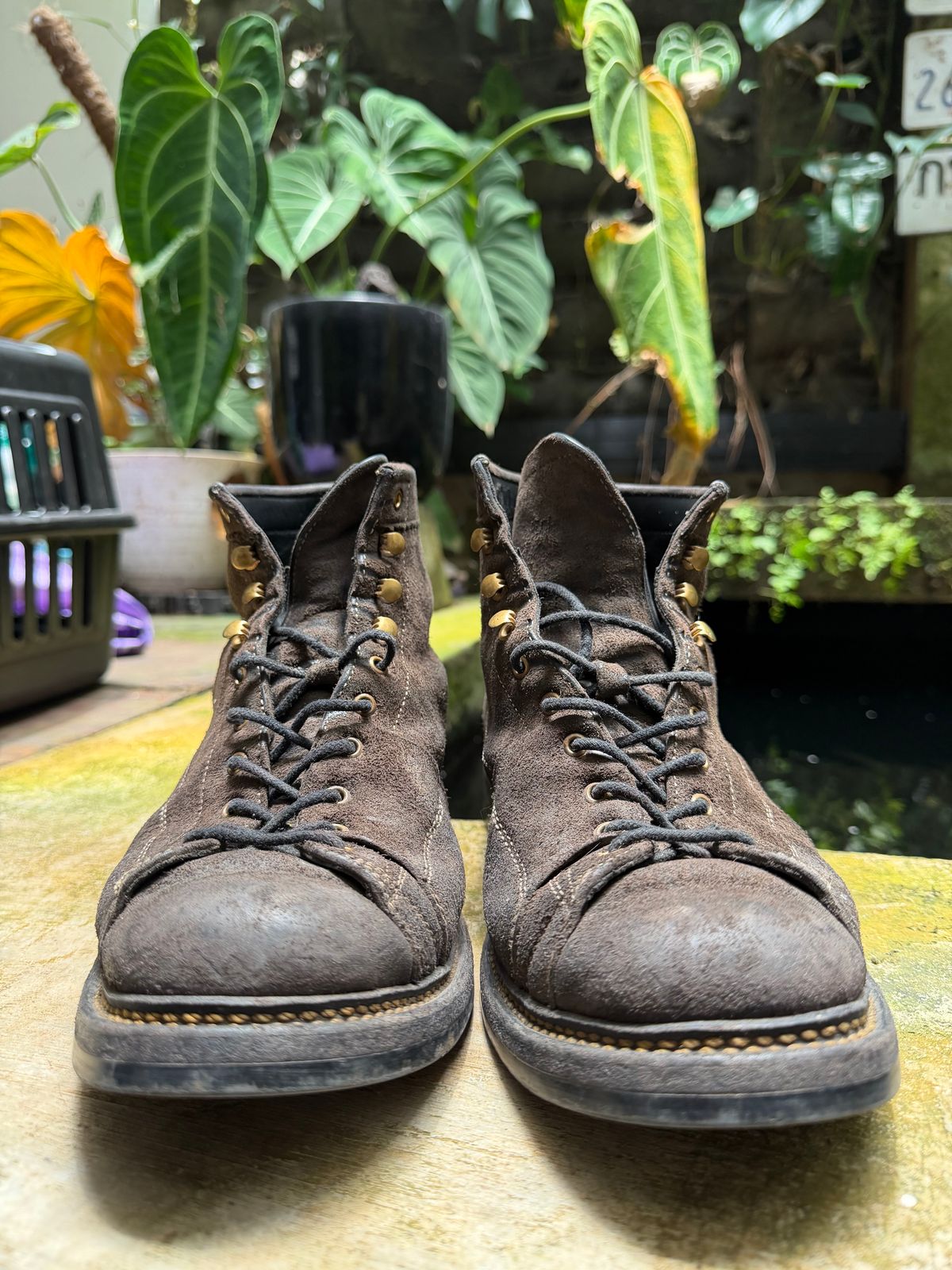 Photo by supergad on March 5, 2026 of the Sagara Cordmaster in Maryam Rovescio Sego Oliva.