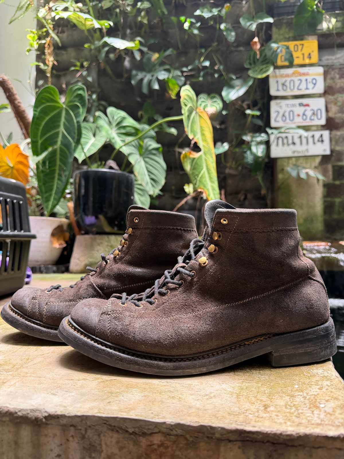 Photo by supergad on March 5, 2026 of the Sagara Cordmaster in Maryam Rovescio Sego Oliva.