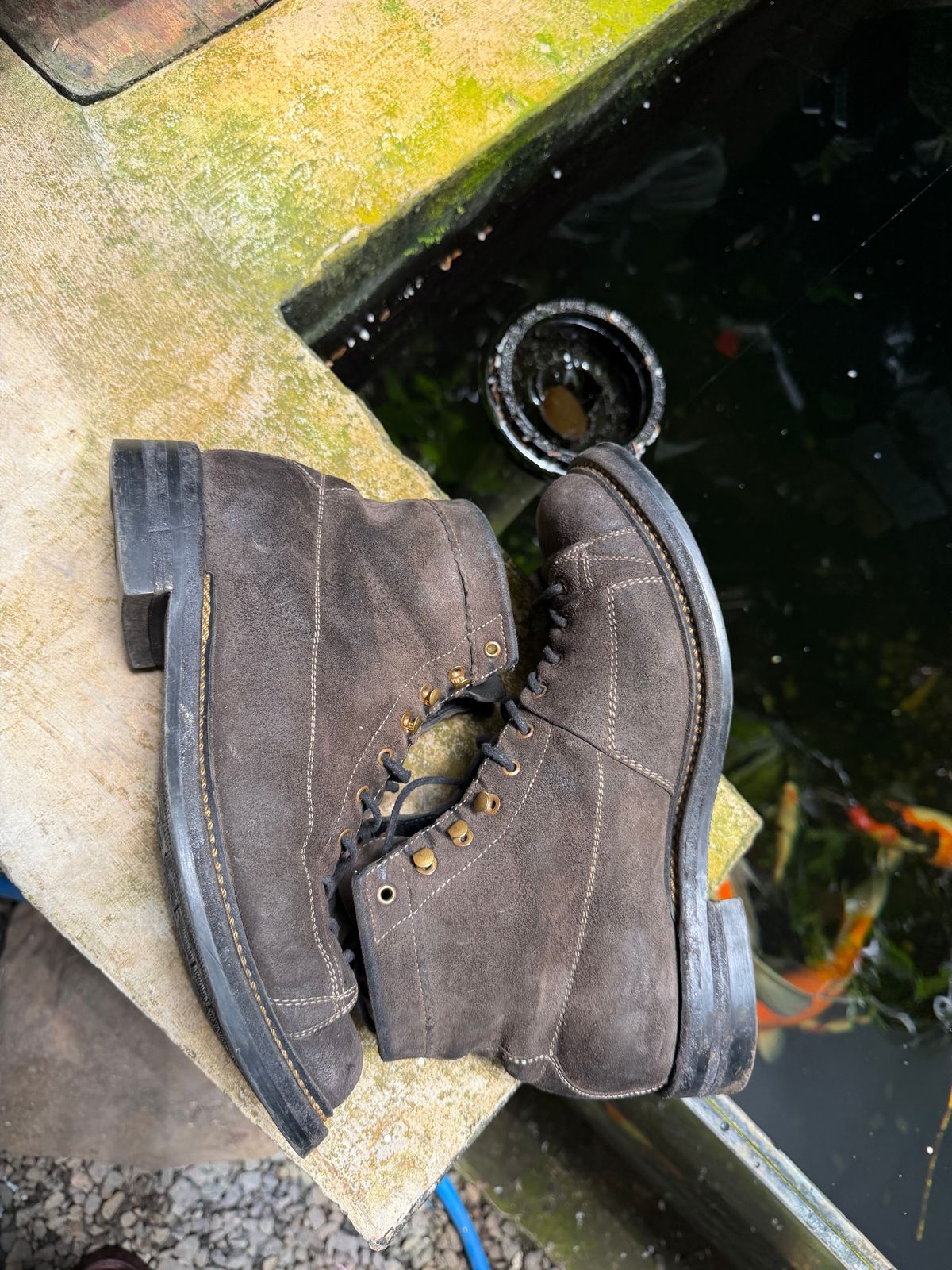 Photo by supergad on March 5, 2026 of the Sagara Cordmaster in Maryam Rovescio Sego Oliva.