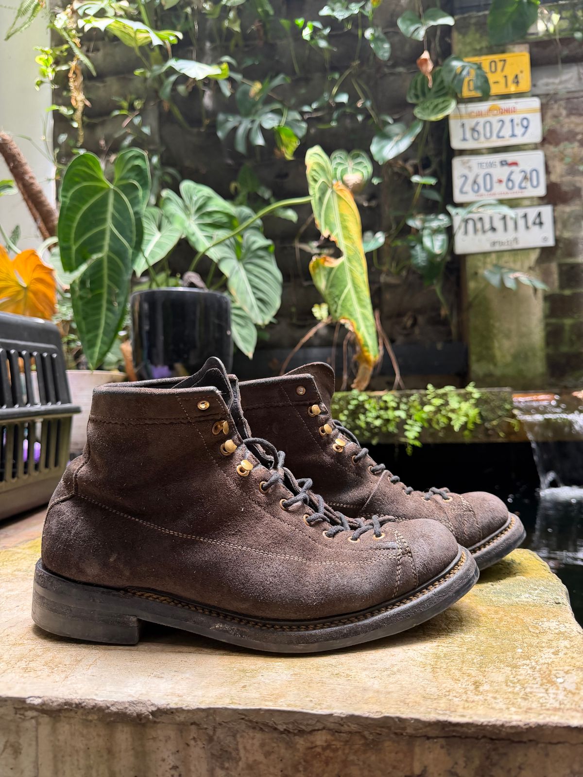 Photo by supergad on March 5, 2026 of the Sagara Cordmaster in Maryam Rovescio Sego Oliva.