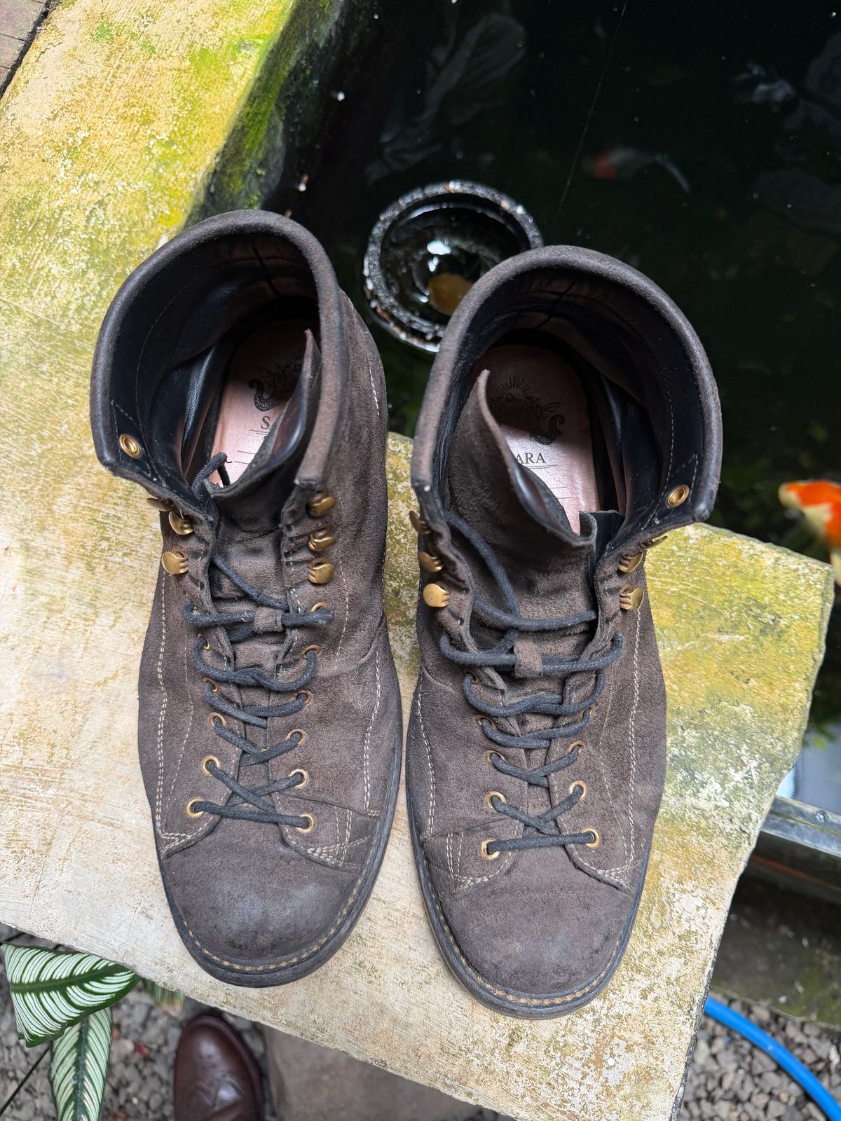 Photo by supergad on March 5, 2026 of the Sagara Cordmaster in Maryam Rovescio Sego Oliva.