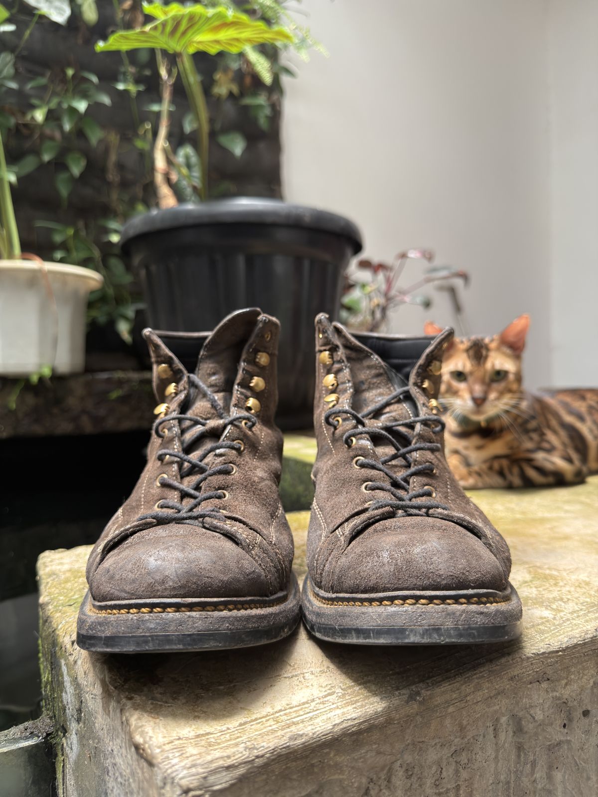 Photo by supergad on April 4, 2026 of the Sagara Cordmaster in Maryam Rovescio Sego Oliva.