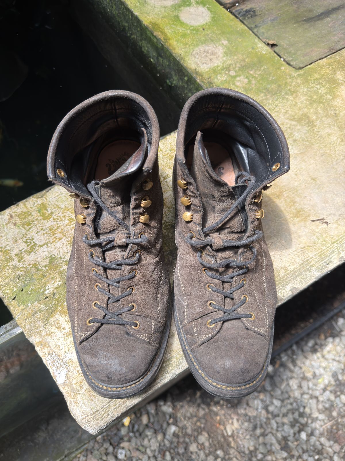 Photo by supergad on April 4, 2026 of the Sagara Cordmaster in Maryam Rovescio Sego Oliva.