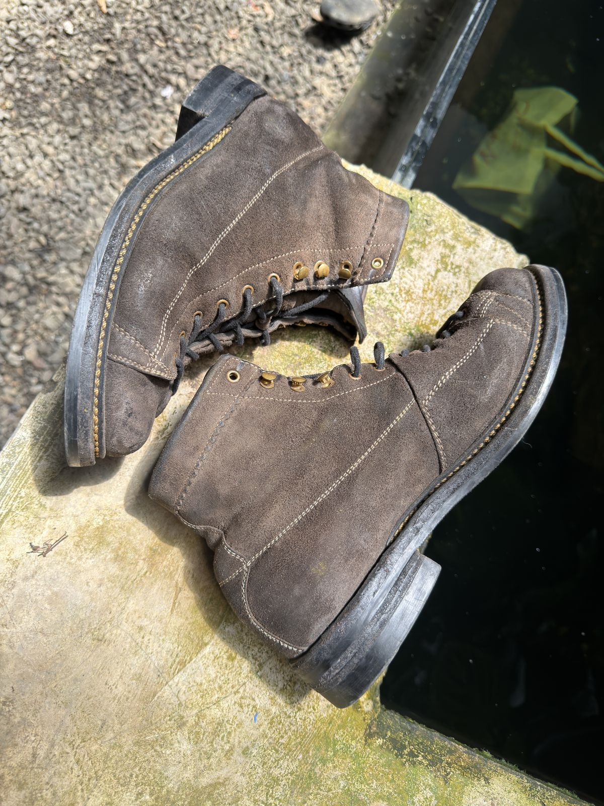 Photo by supergad on April 4, 2026 of the Sagara Cordmaster in Maryam Rovescio Sego Oliva.